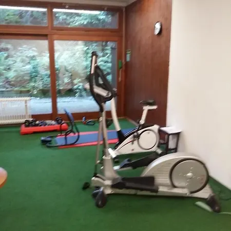 Apartmán Schwarzwald Geht Immer 60 Qm Mit Grossem Suedbalkon, Wlan Und Magenta Tv Schönwalde