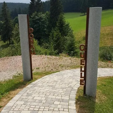 Schwarzwald Geht Immer 60 Qm Mit Grossem Suedbalkon, Wlan Und Magenta Tv