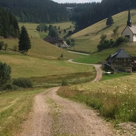 Schwarzwald Geht Immer 60 Qm Mit Grossem Suedbalkon, Wlan Und Magenta Tv Apartmán Schönwalde