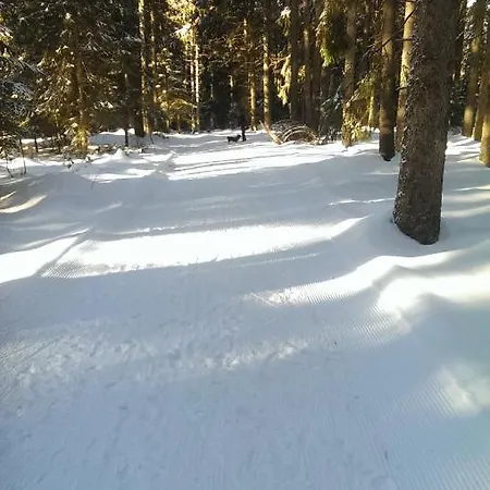 Apartmán Schwarzwald Geht Immer 60 Qm Mit Grossem Suedbalkon, Wlan Und Magenta Tv *