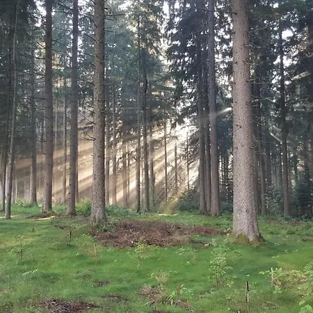 شقة Schwarzwald Geht Immer 60 Qm Mit Grossem Suedbalkon, Wlan Und Magenta Tv