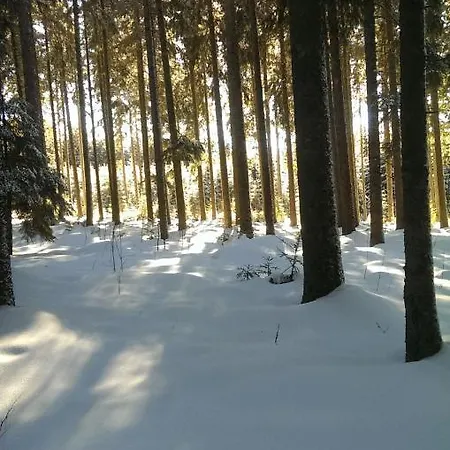 Schwarzwald Geht Immer 60 Qm Mit Grossem Suedbalkon, Wlan Und Magenta Tv